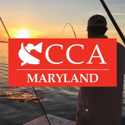 An image of a man fishing, behind a logo stating "CCA MARYLAND" in red. 